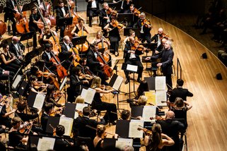 Konzertfoto 23.10.2024 / MILOŠ / Elbphilharmonie Hamburg